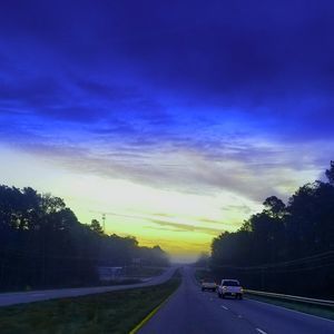 Meet your Posher, Elsie